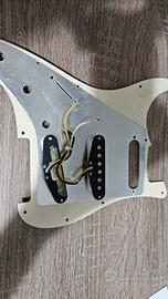 pickguard stratocaster con pickup fender custom sh
