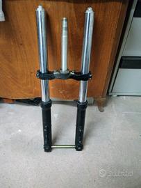 FORCELLA TRIUMPH SPEED FOUR 600