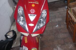 Peugeot Jet Force 50, 307 WRC