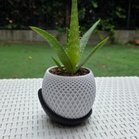 Vaso di design molto elegante