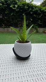 Vaso di design molto elegante