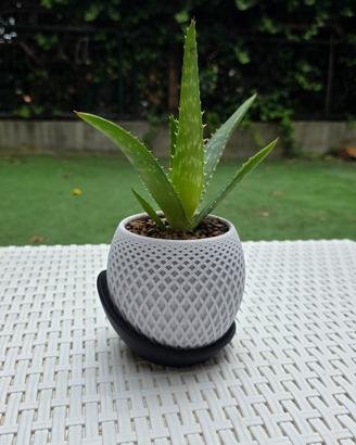 Vaso di design molto elegante