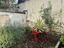 Immagine 25