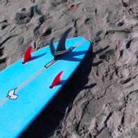 Pinna surf longboard