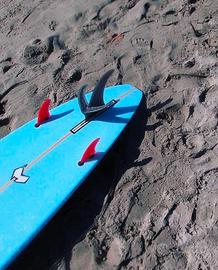 Pinna surf longboard