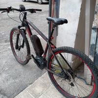 bicicletta pedalata assistita 