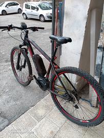 bicicletta pedalata assistita 