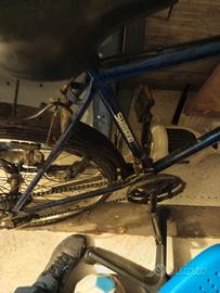 Bici Mountain bike 26