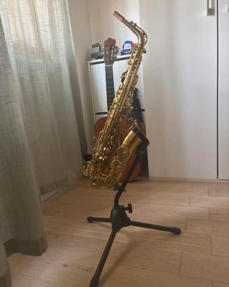 Bundle sax contralto (Info in descrizione)