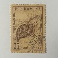 Francobolli Romania 1962