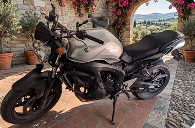 FZ2 S6