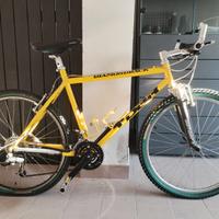 Bicicletta DBR diamondback