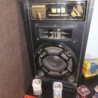 coppia di casse  amplificate