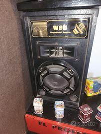 coppia di casse  amplificate