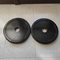 coppia dischi Technogym 10kg  50mm 