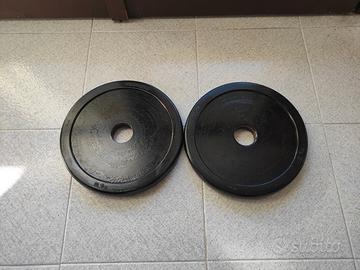 coppia dischi Technogym 10kg  50mm 