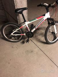 bici bambino ruote 20