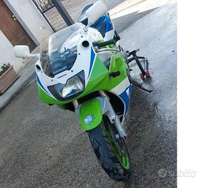 Kawasaki ZXR 400 (Anni '90) – Da Collezione
