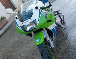 Kawasaki ZXR 400 (Anni '90) – Da Collezione