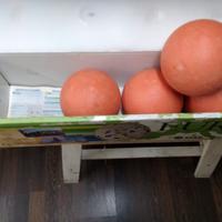 Boccie Professionali