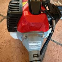 DECESPUGLIATORE TUCSON