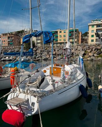 ALAVER QR930 “GIORGINA IV” – 9,30 m – VOLVO PENTA