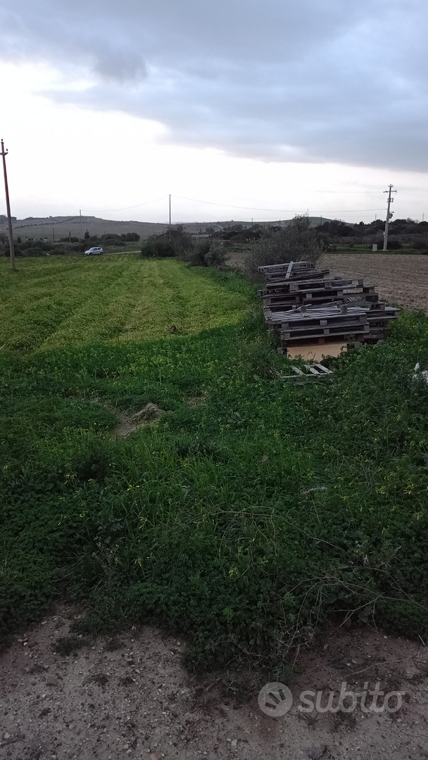 Terreno agricolo Località Su Stangioni - Vista 3