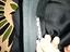 Immagine 5