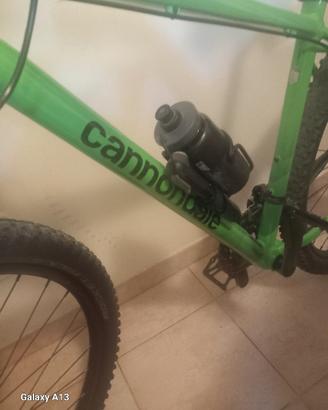  bici unisex