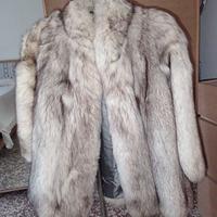 Pelliccia volpe della Groenlandia