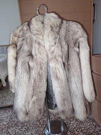 Pelliccia volpe della Groenlandia