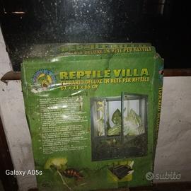 terrario per camalente