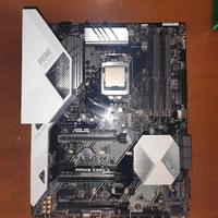 Scheda madre  Prime Z390-A + processore i5 9600kf