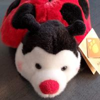 peluche Coccinella