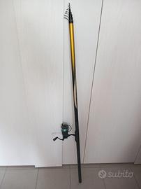 Canna bolognese Tubertini