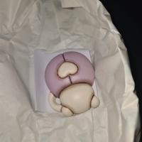 Coccinella bauli thun 2026