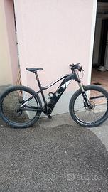 e-bike 
