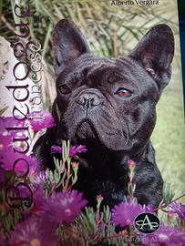 Libro Bouledogue francese Vergara