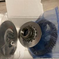 Primaria 23 65 6 molle