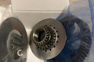 Primaria 23 65 6 molle