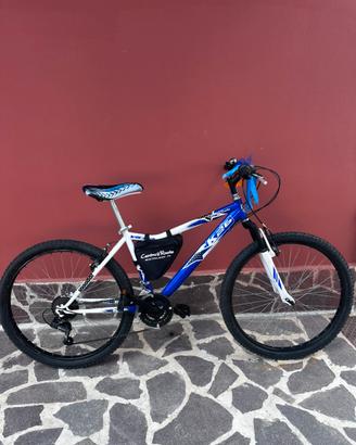 Bicicletta