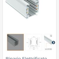 binario elettrificato 