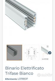 binario elettrificato 