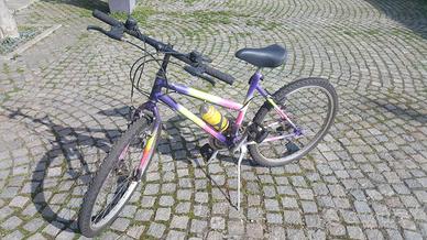 bicicletta 