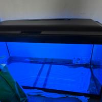 Acquario 200 litri