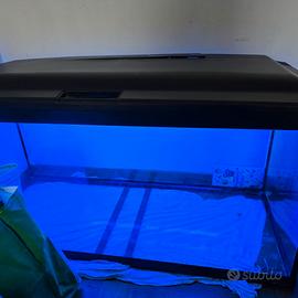 Acquario 200 litri
