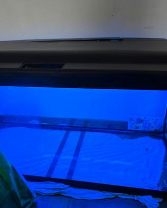 Acquario 200 litri