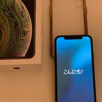 Apple iPhone XS 512Gb - Batteria 73% - MT9L2QL/A