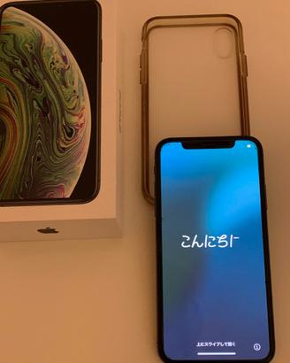 Apple iPhone XS 512Gb - Batteria 73% - MT9L2QL/A
