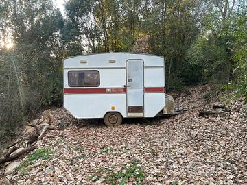 Roulotte Royal Car 310 L